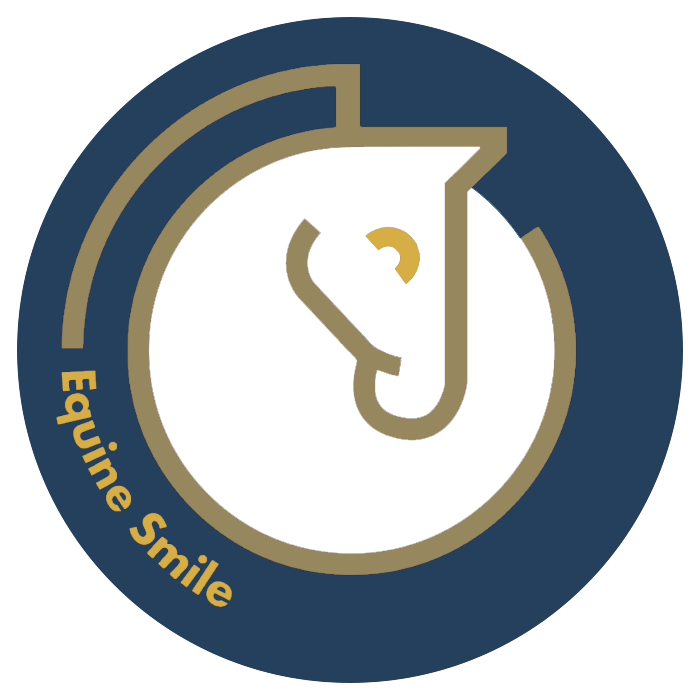 EquineSmileLogo-NavyWhite