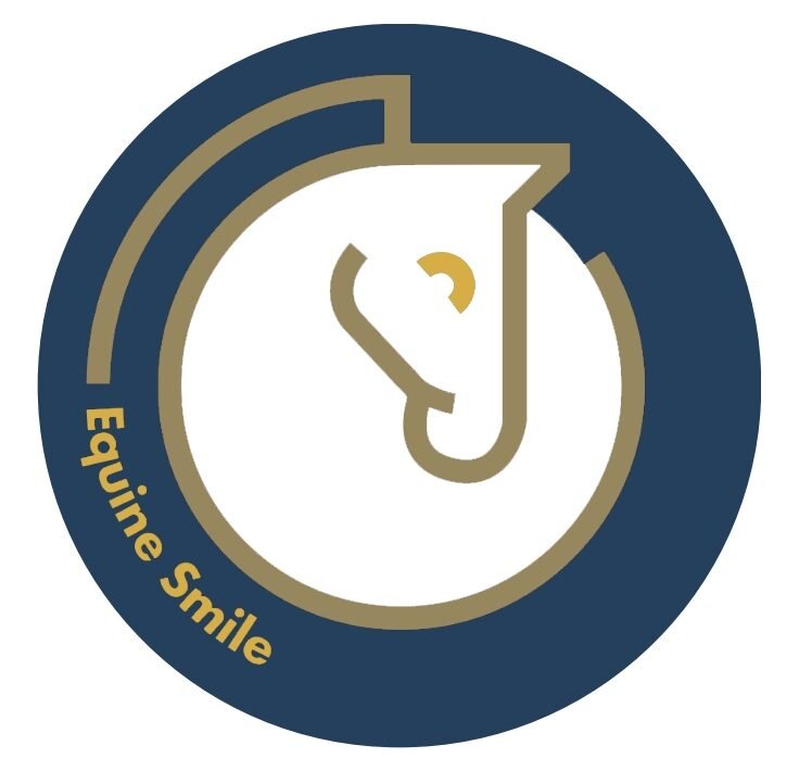equine smile logo navy:white