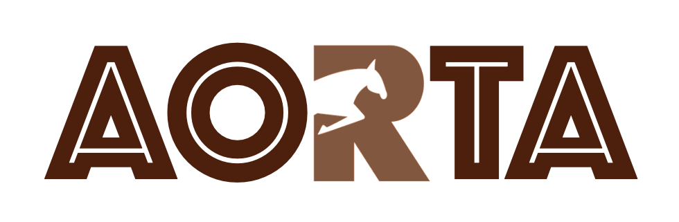 AORTA GmbH